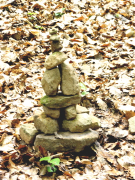 photo : alignement de pierres